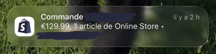 Nouvelle vente qui dépasse largement mes premières à 20/30€ 
