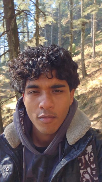 Subhroneel Roy