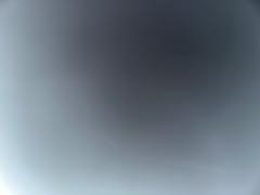 Shaima Eshaq