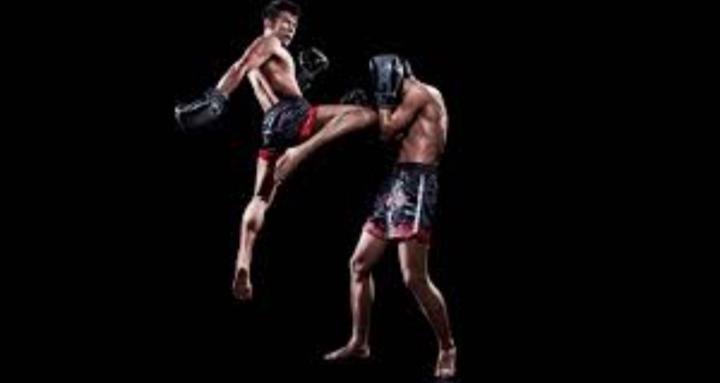 The Muay Thai Collective
