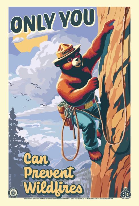🔥🐻 HERO HIGHLIGHT: SMOKEY BEAR 🌲✨