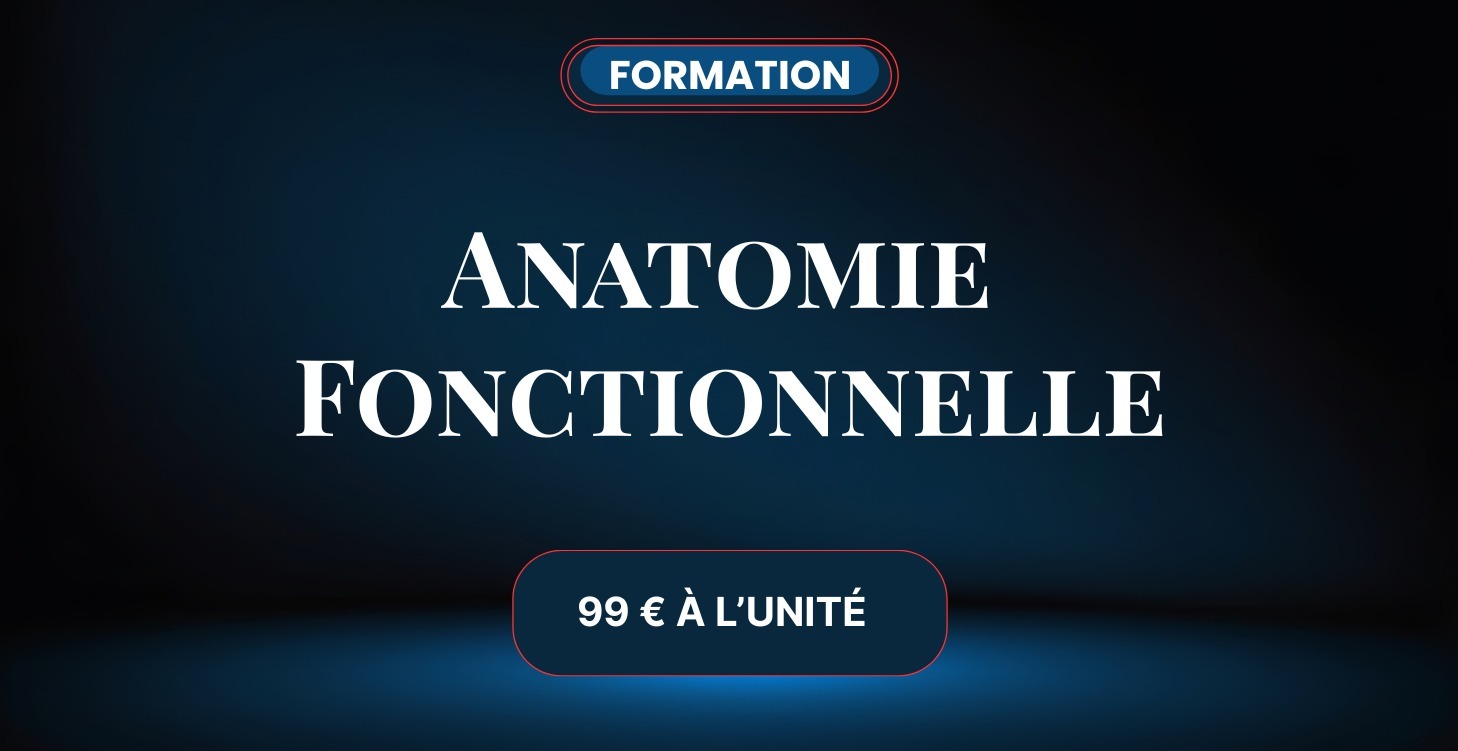Formation - Anatomie Fonctionnelle