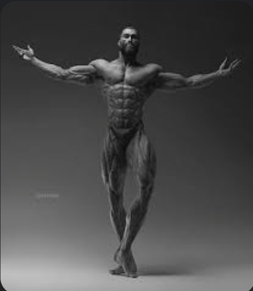 Anouar M