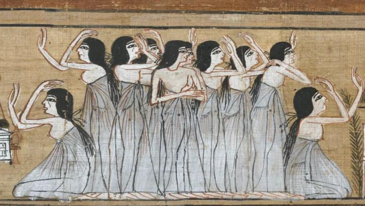 Welcome to the DRAGON-COVEN