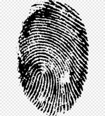 Amangoua Kissi maxime beranger