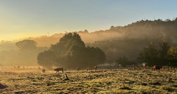 Expat Ladies in Spain