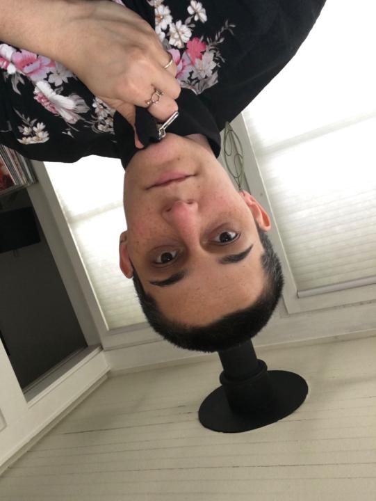 Ella Meir