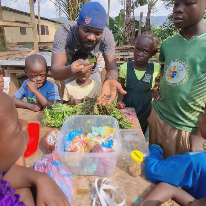 After setting up this classic raised bed nursery the old-school way,l need your expert eyes 👀👇🏿
