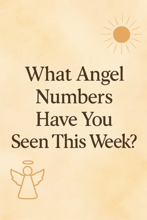 What Angel Numbers Have You Seen This Week?