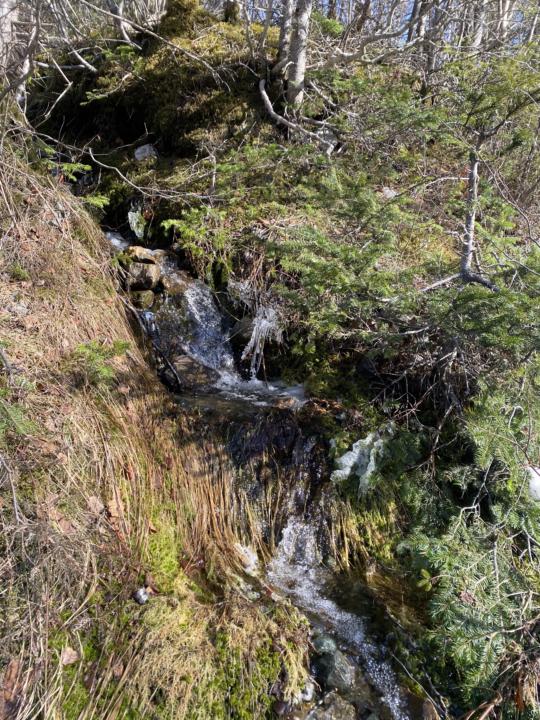 fairy fountains