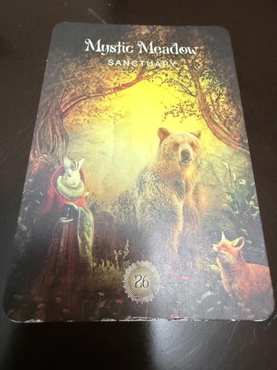 Happy Sunday!  Card Pull