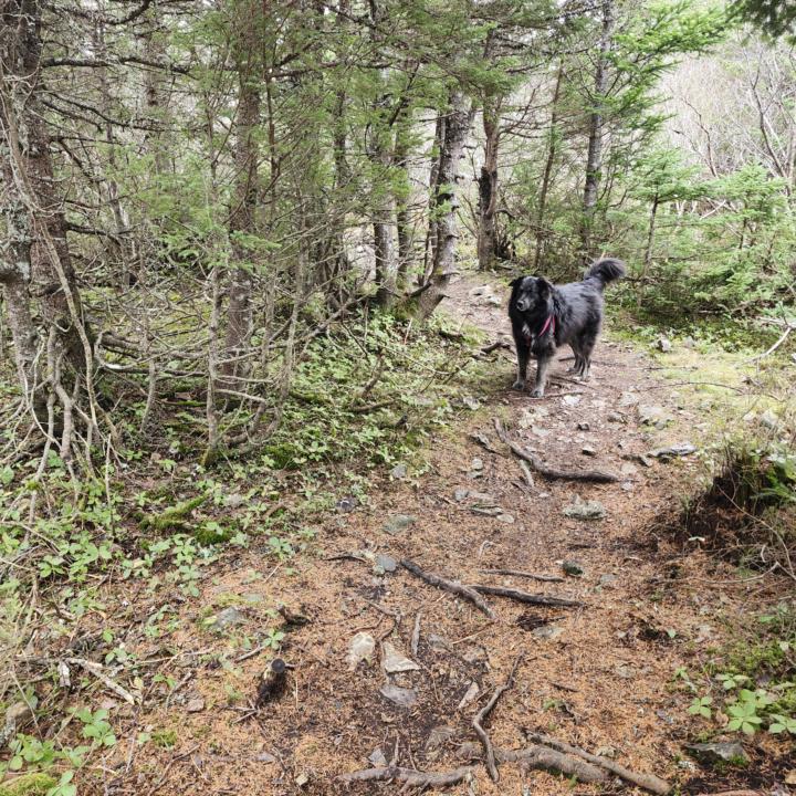 🌌💫Coping with Cosmic Flu Symptoms 