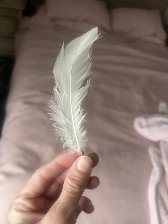 Understanding and welcoming signs 