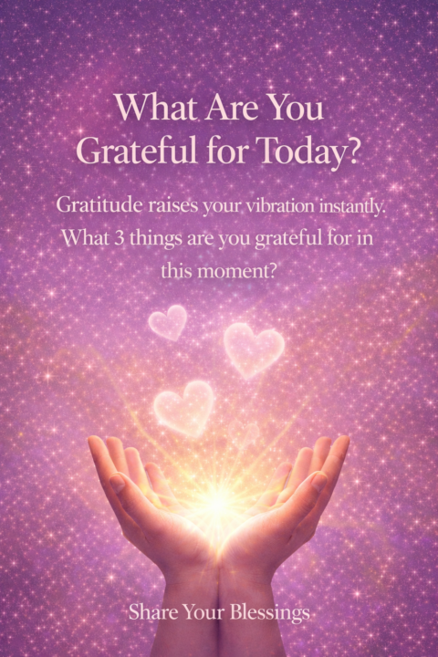 What Are You Grateful for Today?