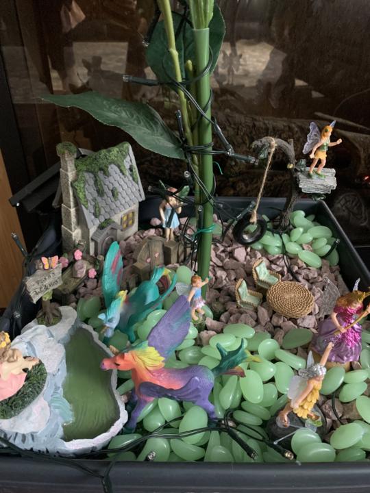 Fairy Frenzy 
