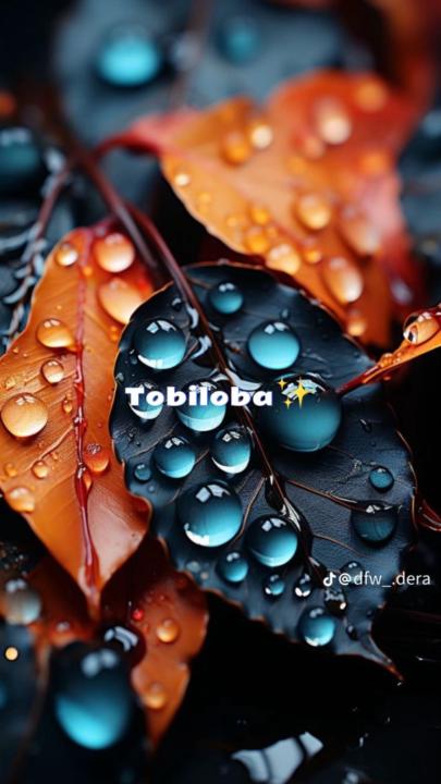 Tobi Olugbami