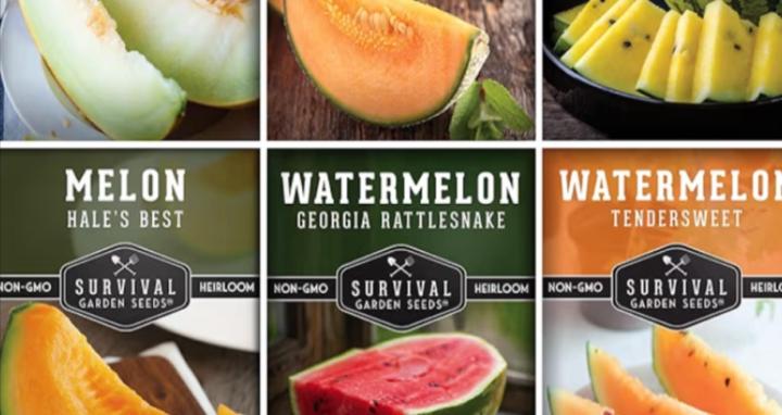 Heirloom Vegetable Gardening