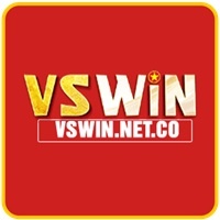 Vswinnet Co