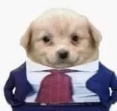 Josemaría Vigo Delgado