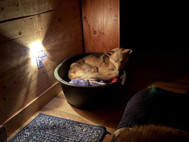 A brief evening read. With coffee or tea.