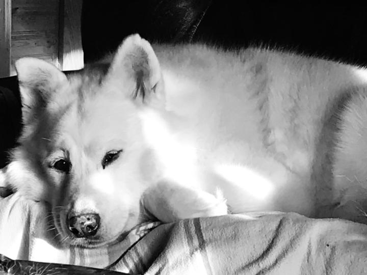 Life's journey, transitions and destinations.