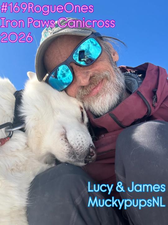 2026 Update Moving Forward 