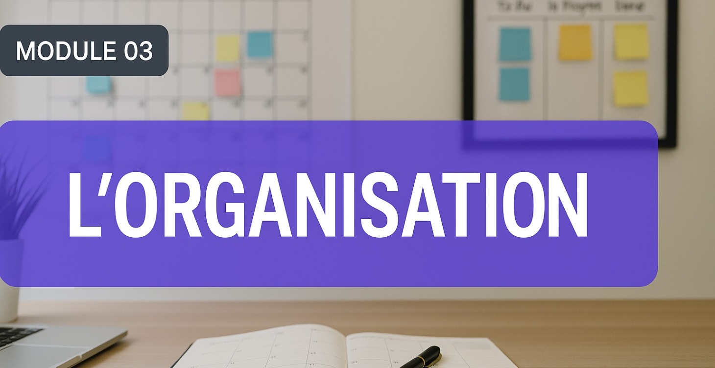 3. L'organisation