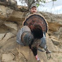 Dustin Horton
