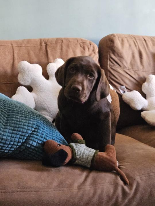 Bernadette Delahunty