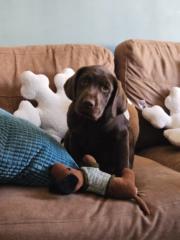 Bernadette Delahunty