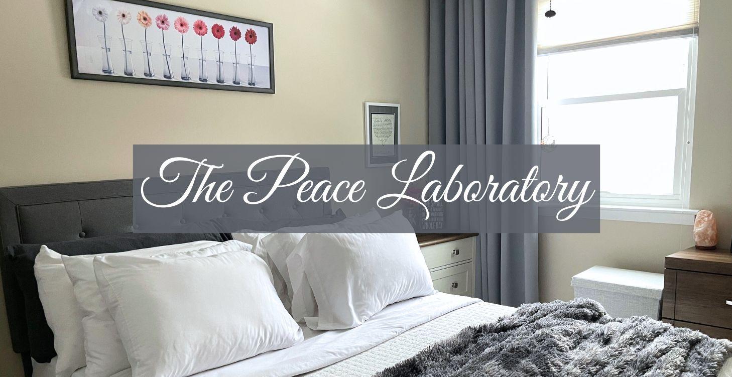 The Peace Laboratory
