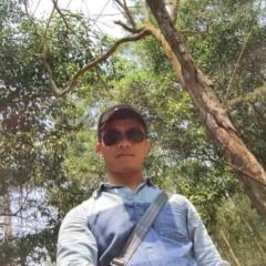 Hiep Giap