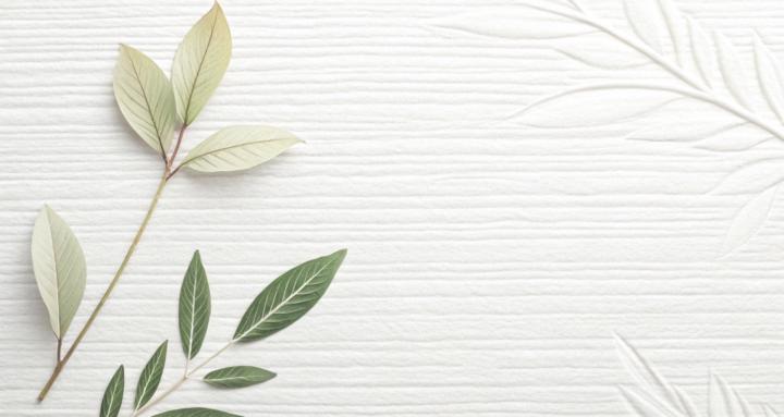 The Ayurvedic Way™