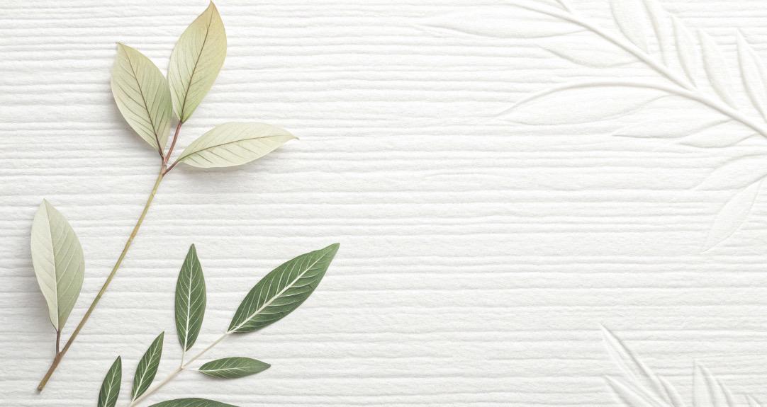 The Ayurvedic Way™