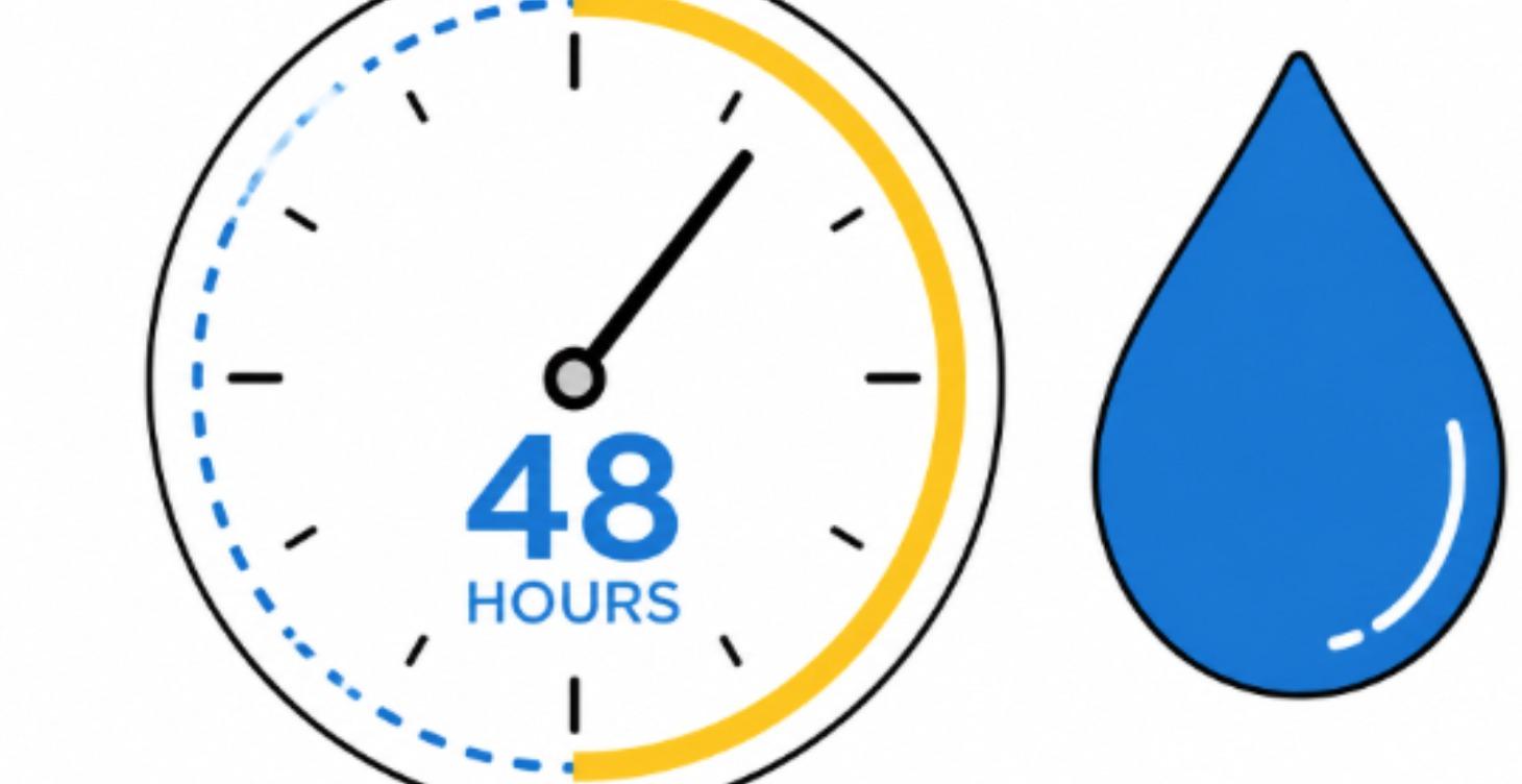 The 48-Hour Mold Clock