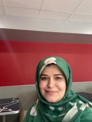 Elham Noohi