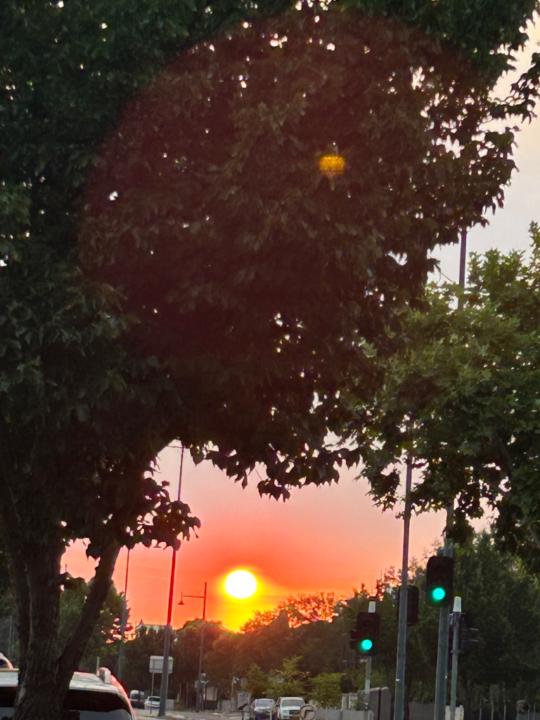 Quintessentially Justine