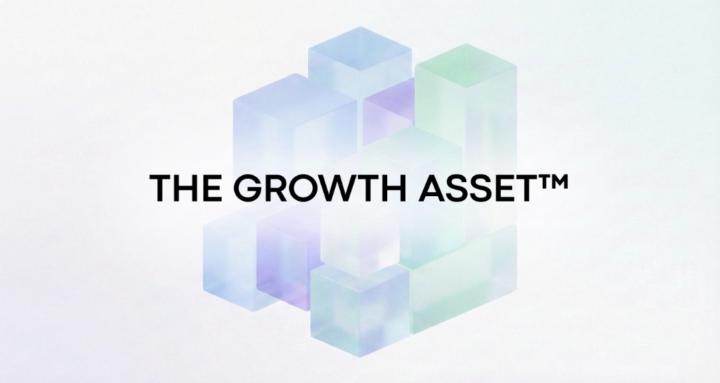 THE GROWTH ASSET™