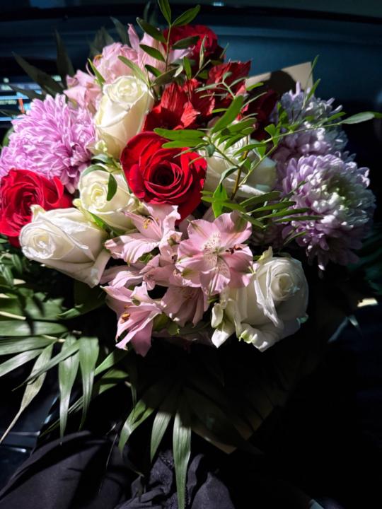 Ana Stefania Iacovache