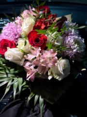 Ana Stefania Iacovache