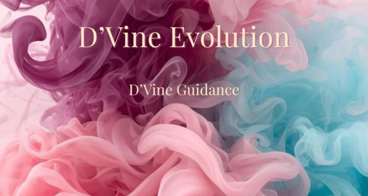 D'Vine Evolution