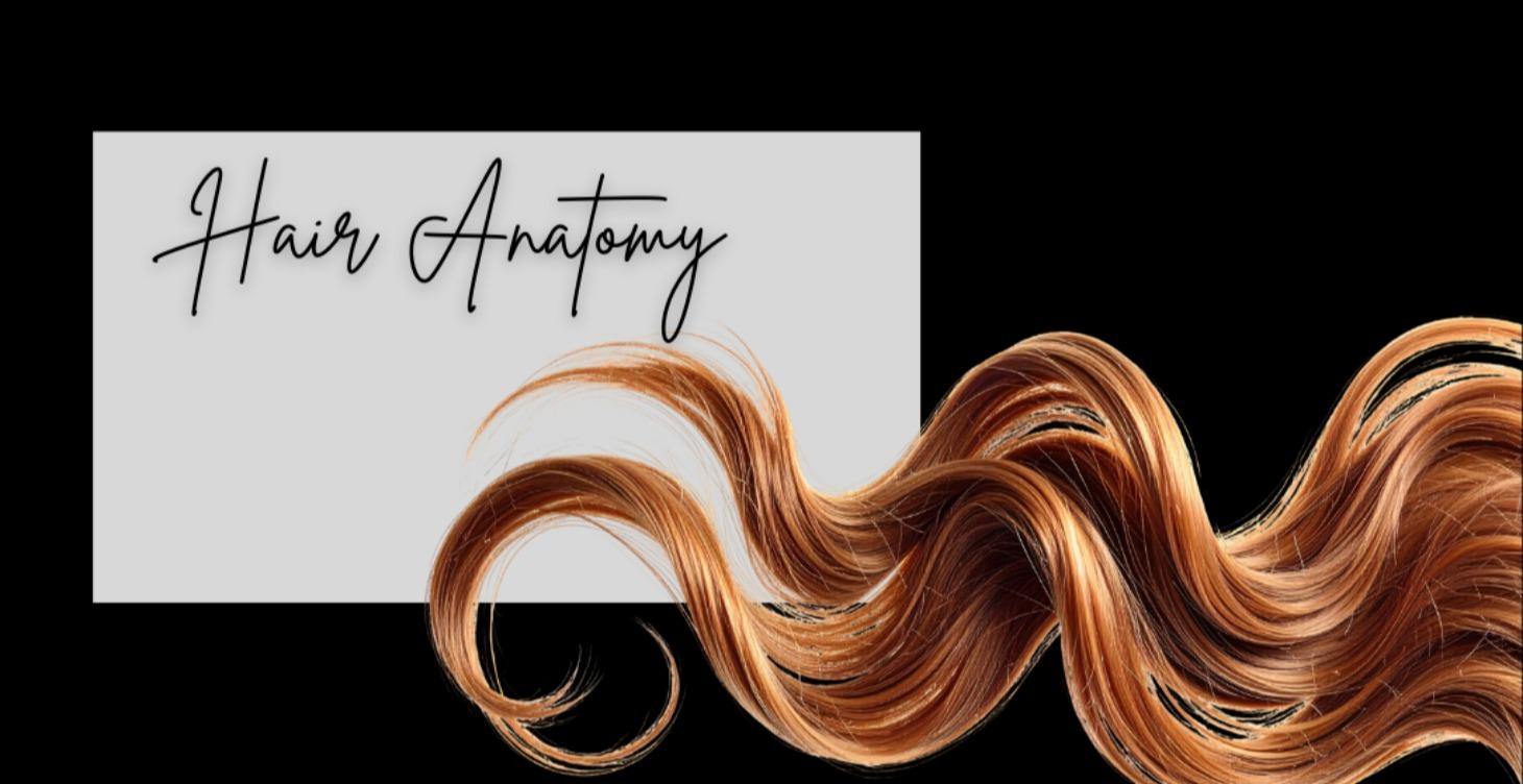 Hair Anatomy