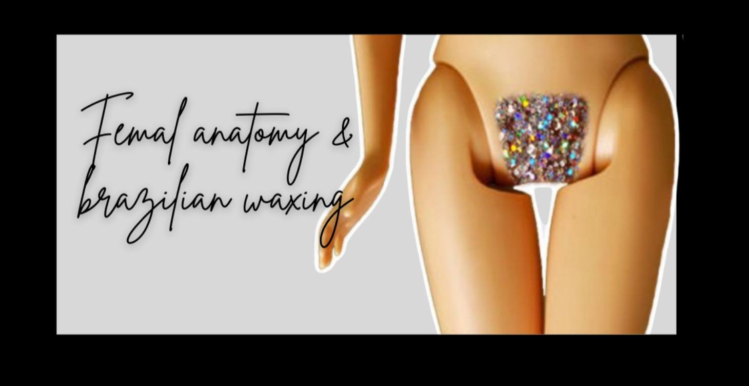 Female anatomy and Brazilian waxing