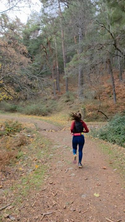 Mercedes Tajuelo Gallego