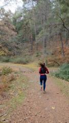 Mercedes Tajuelo Gallego