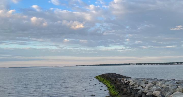 The Rose Group Life Coaching