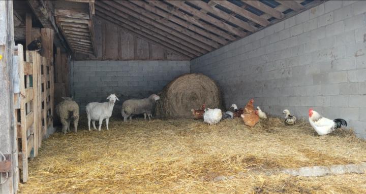 Learning on the farm