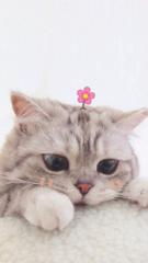 Mawe Mawe