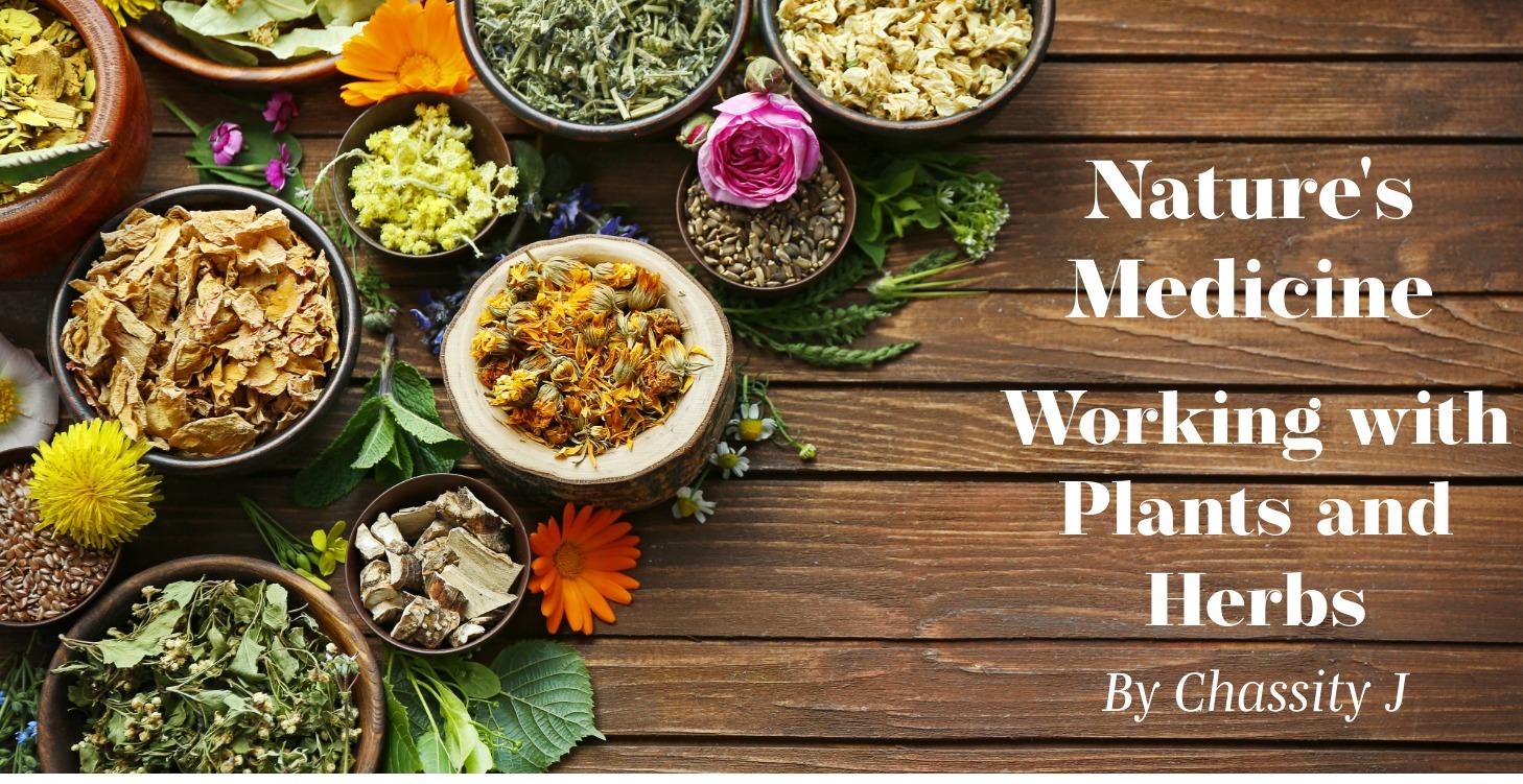 Nature's Medicine - Working with Plants and Herbs