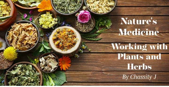 🌿✨New Course Alert ✨🌿
